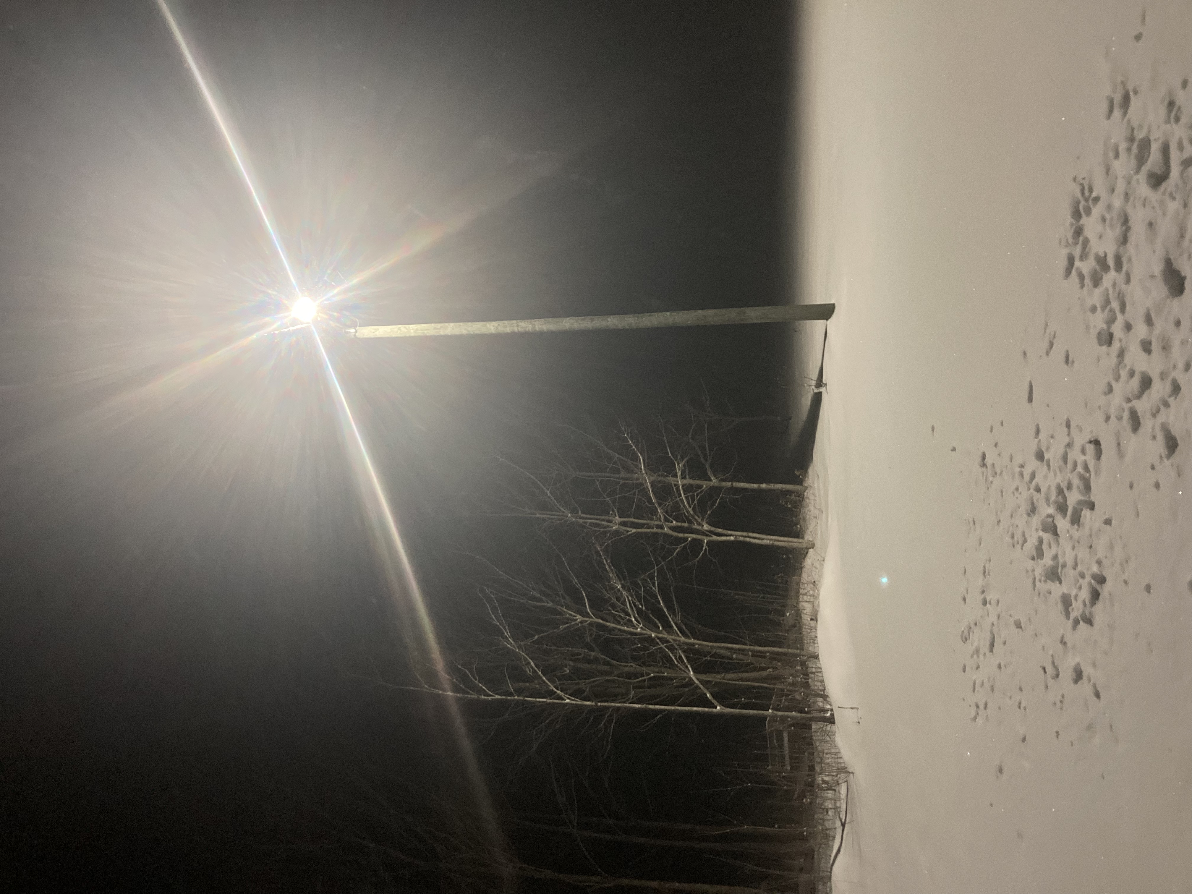 A neat picture I took of a street light in the winter some time ago.